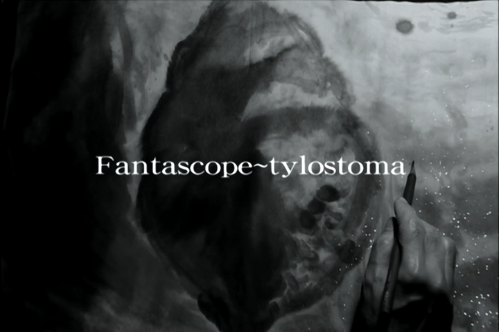 [Emblem-Raws] Fantascope~tylostoma~ [DVD 480p][x265 (HEVC) AC3].mkv_snapshot_01.55_[2015.07.21_03.22.25]